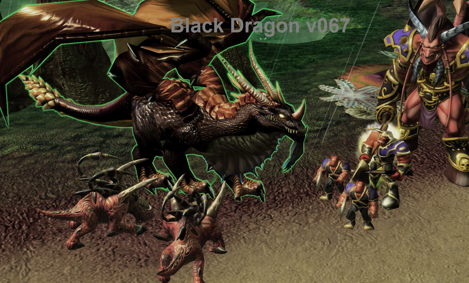 Black Dragon V067