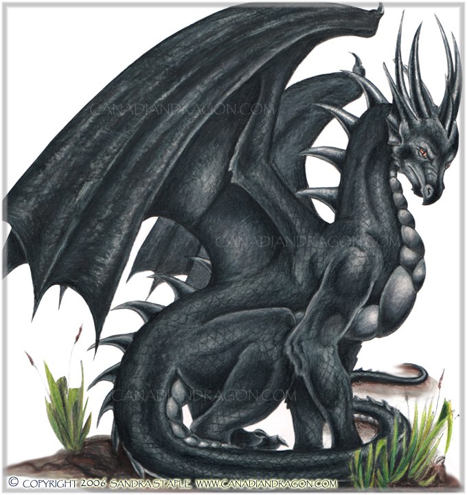 black dragon