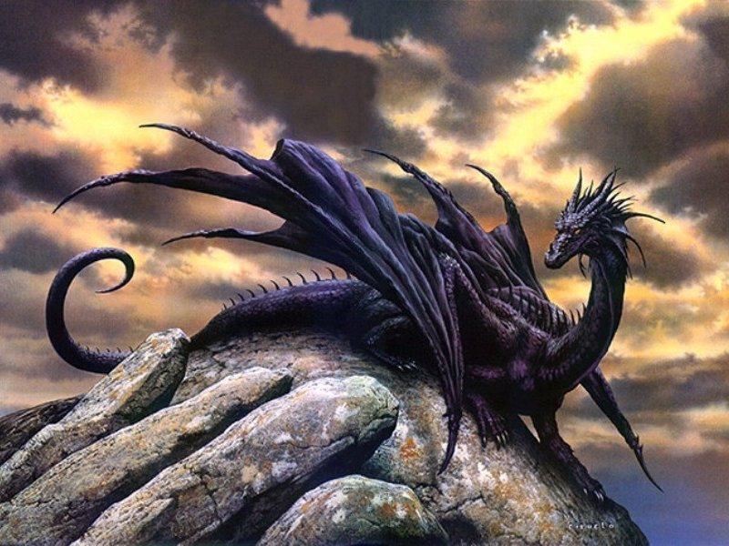 black dragons