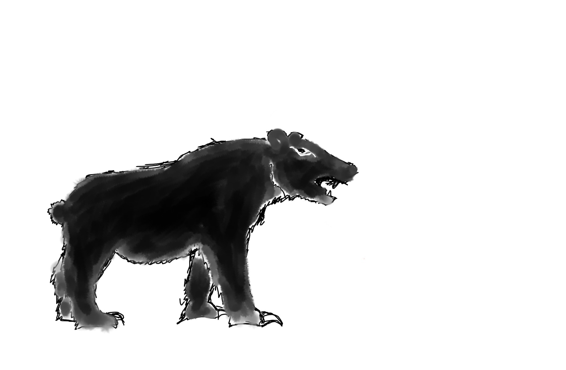 Blackbear
