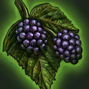 Blackberries