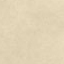 blank