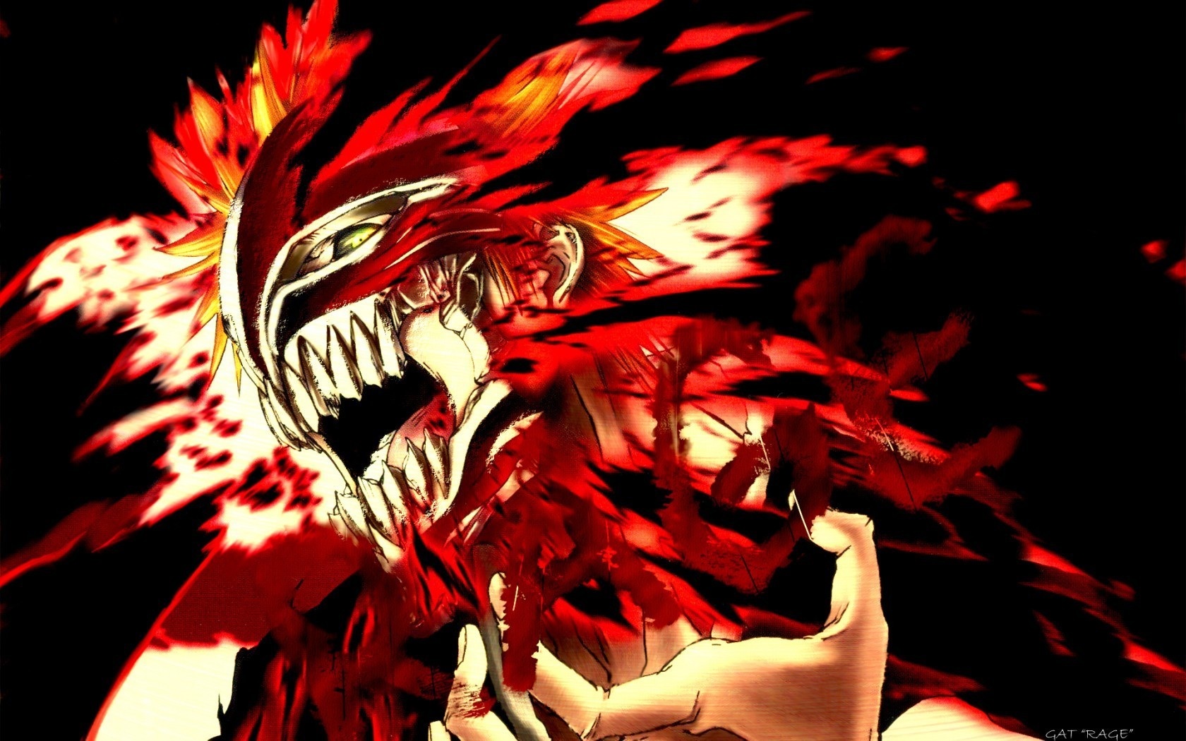 Bleach photo num#1