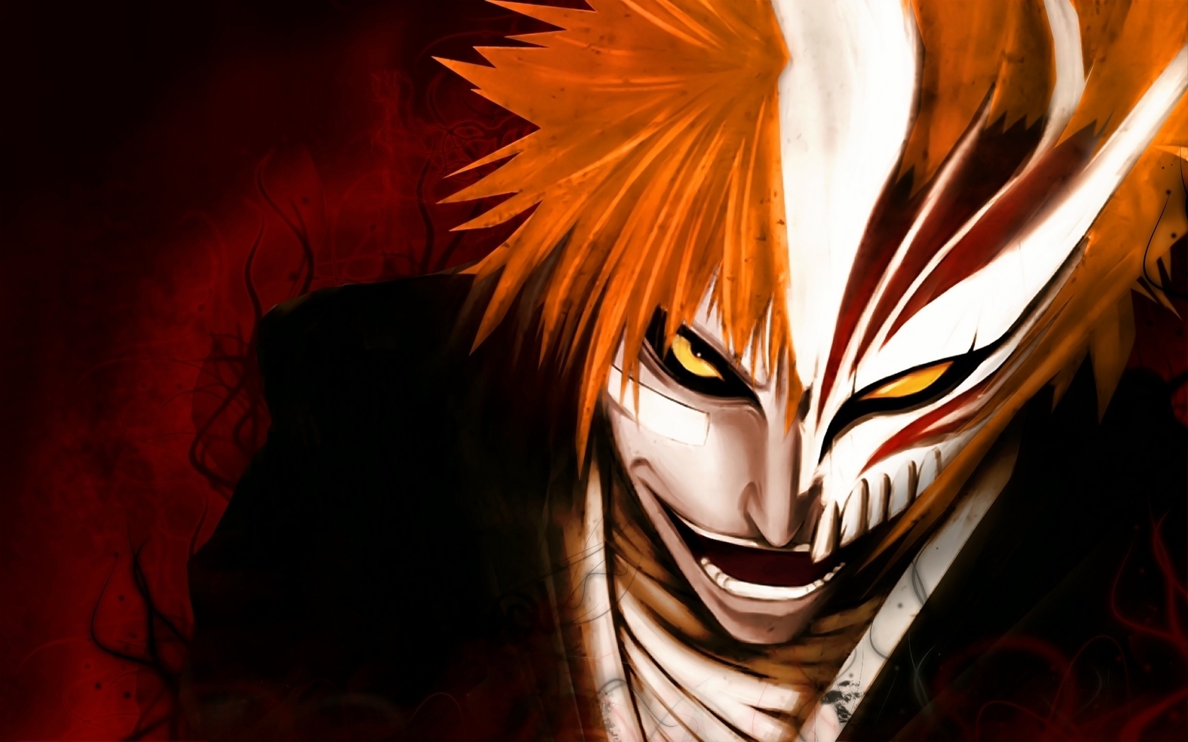 Bleach photo num#2