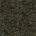 Blight