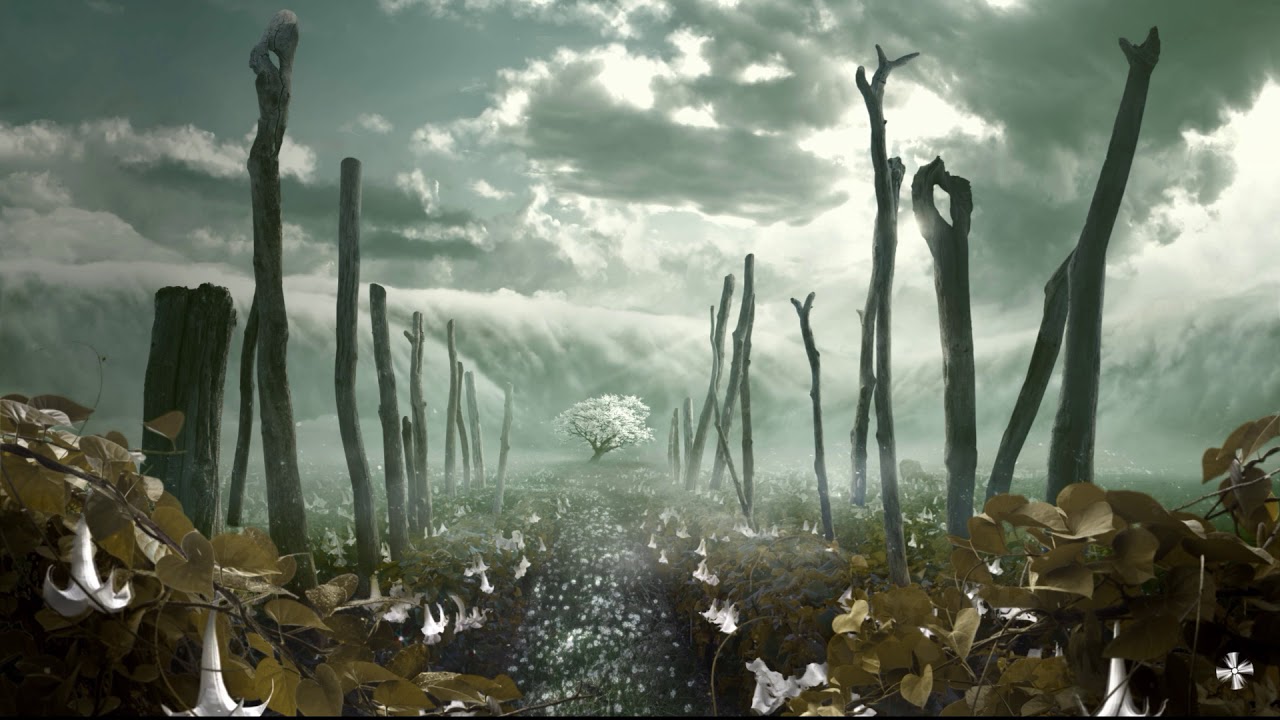 Bliss Field