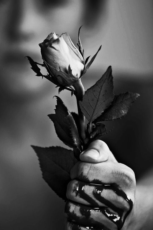 bloody hand rose