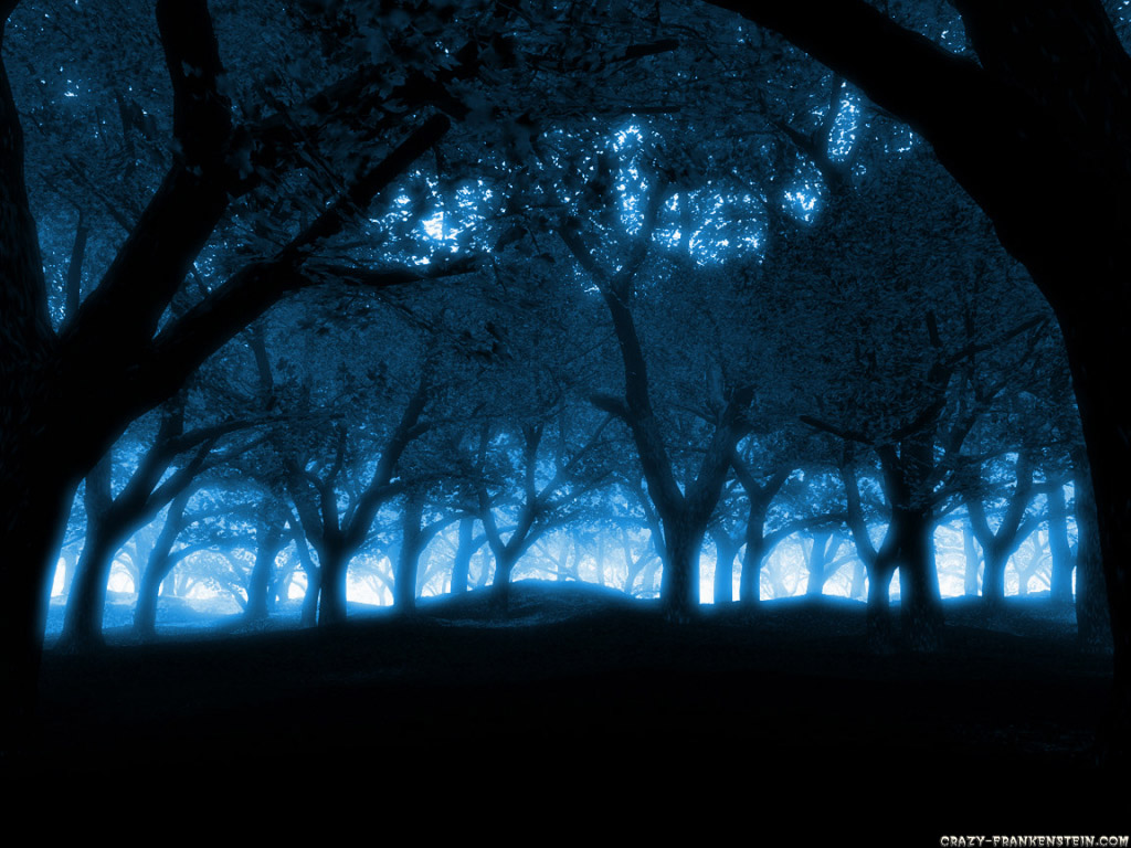 blue forest wallpaper