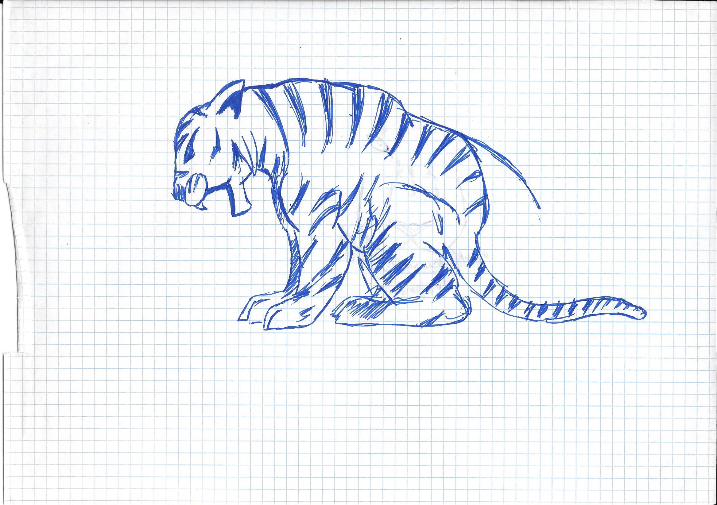 Blue Tiger