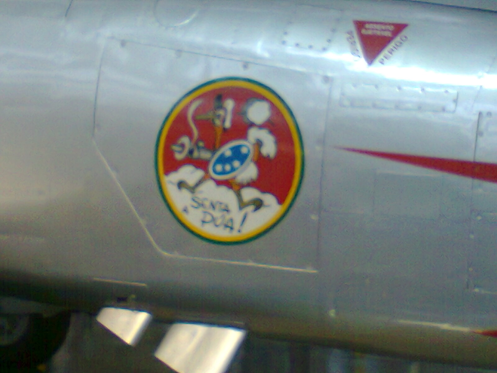Brazillian Expeditionary Air Force symbol - "Senta a Pua".  (I have no idea on how to translate that in English...)