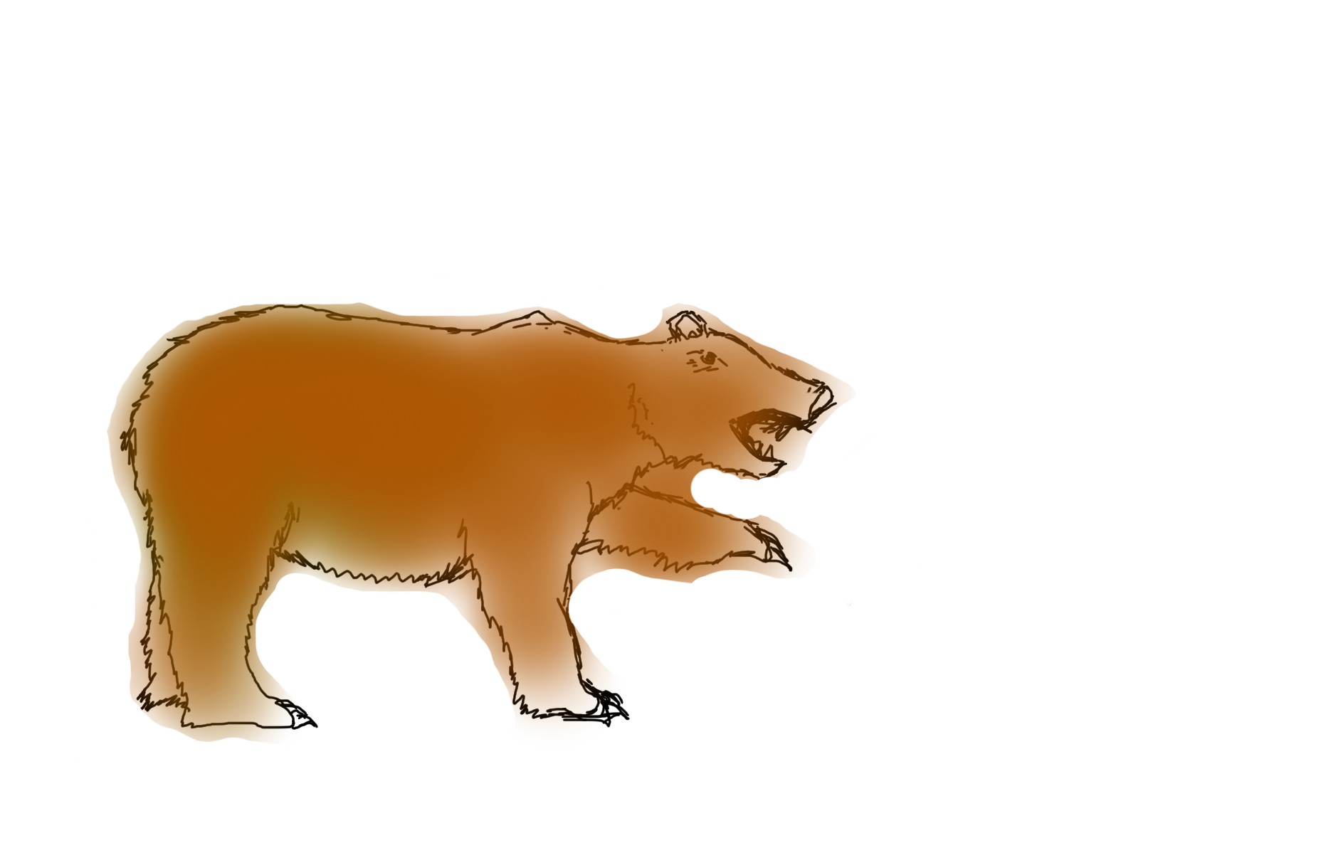 Brown bear