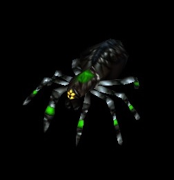 BSpider.jpg