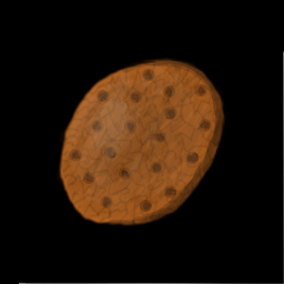 BTNCookie