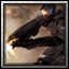 BTNhalo reach icon