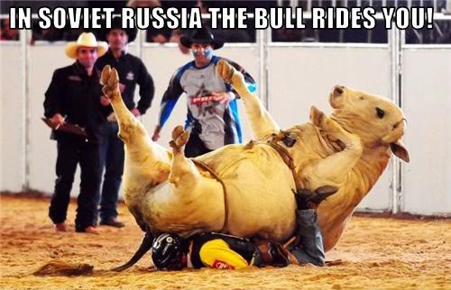 bull rides you
