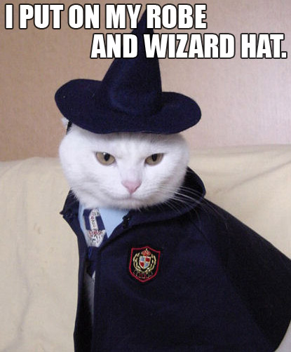 Cat wizard from harry porthead.