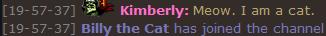 Cat