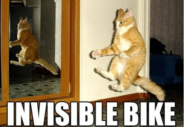 CatBike