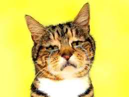 CatCry