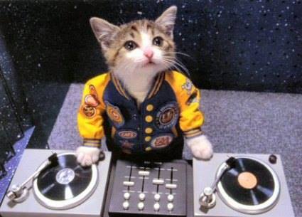 CatDJ