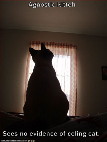 Cats have the right to not believe.