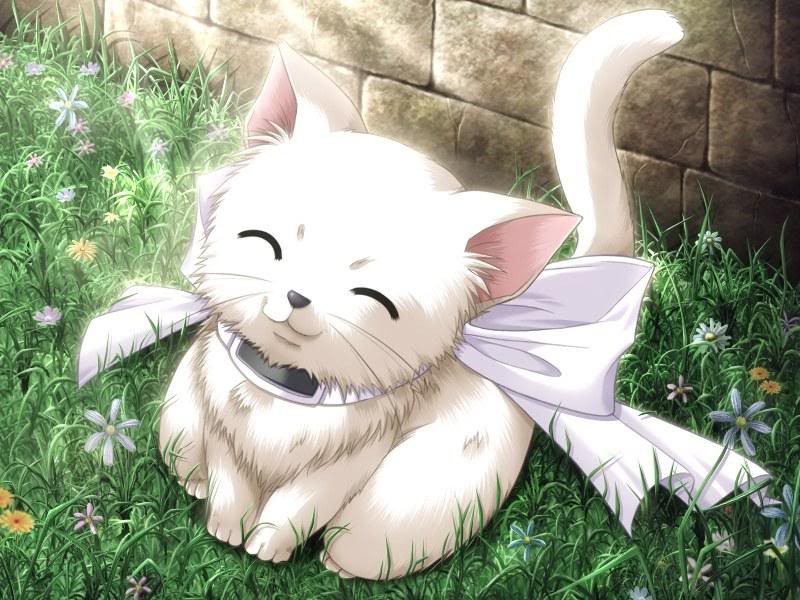 catty...
