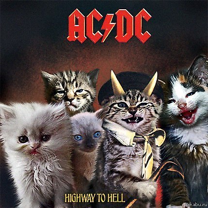 Catway to Hell ;)