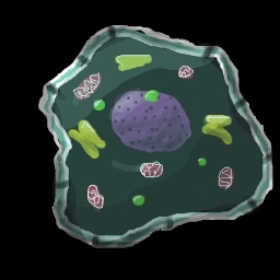 Cell