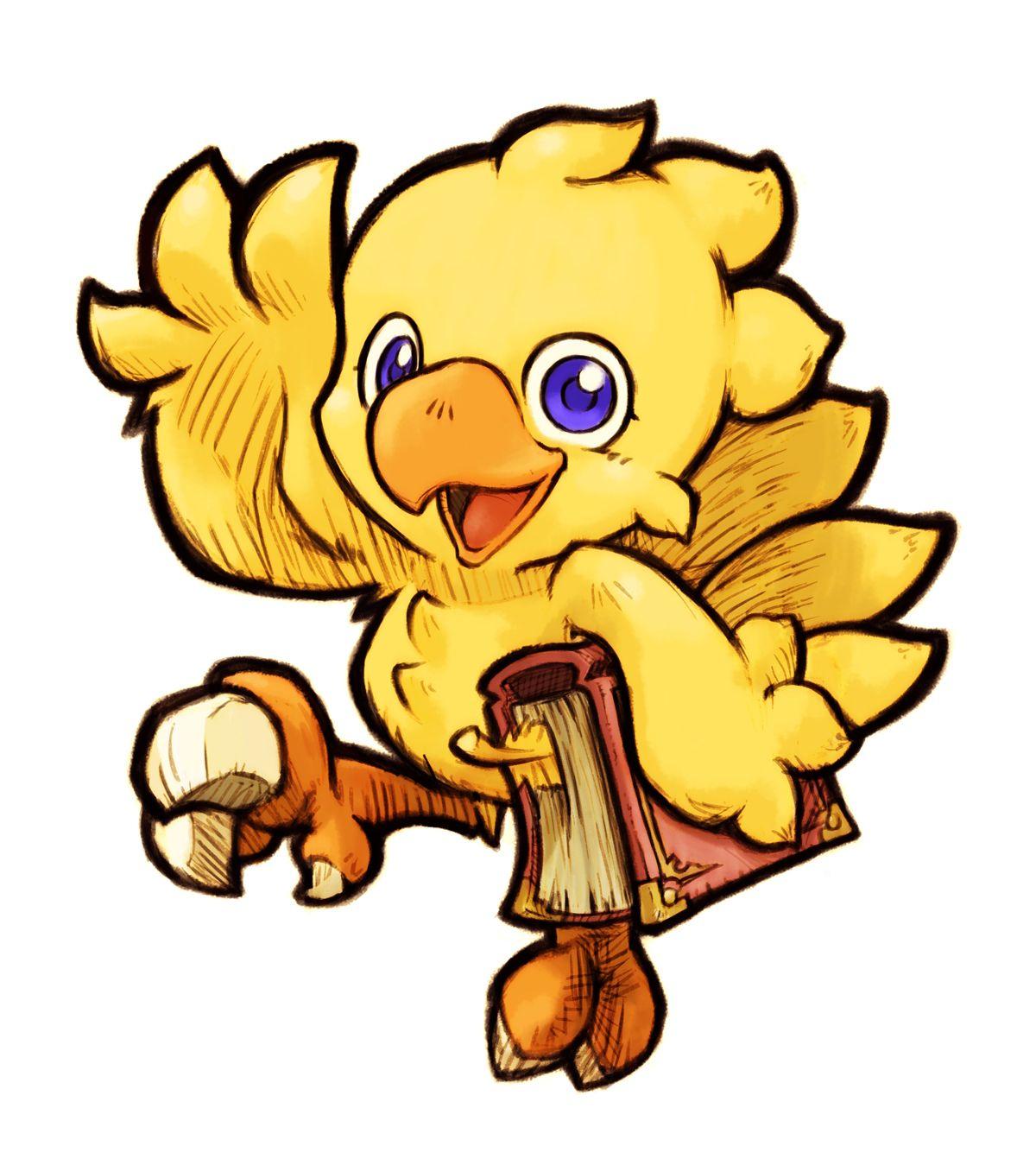 Chocobo!!