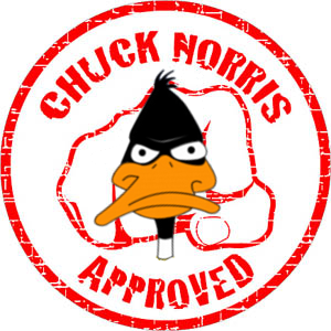 chuck norris approved