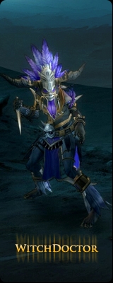 Class WitchDoctor