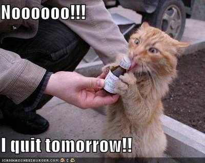 classic cat