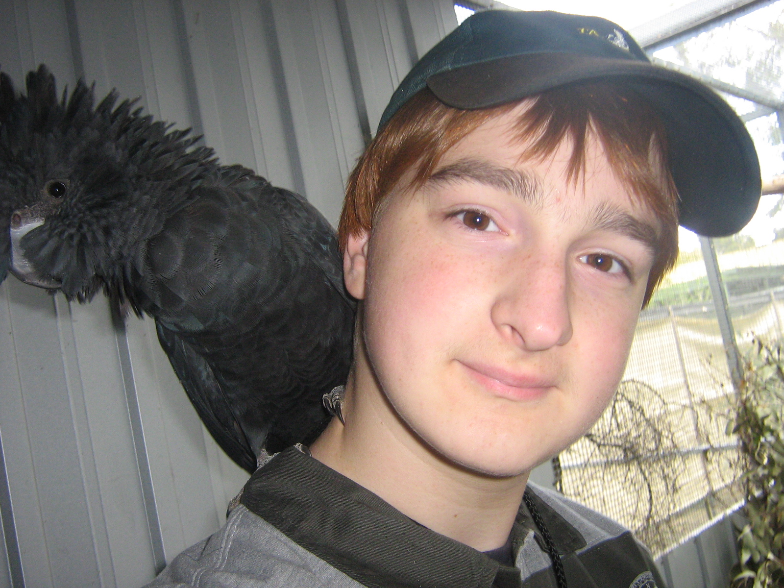 Cleland Wildlife Work Experience - me and a black cocky.
This pic is waaaaay old now, I was like... 14, almost going on 15back then. Time flies XD