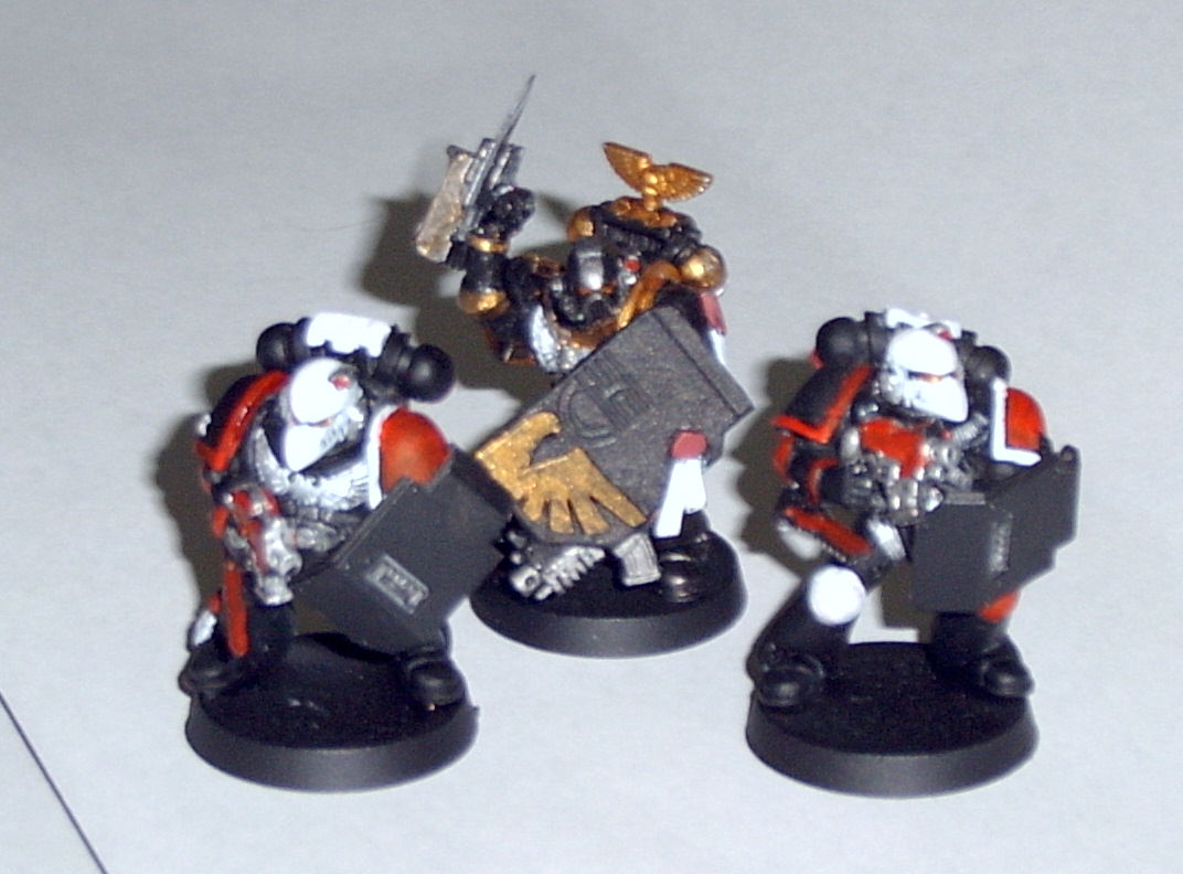 commander and the shielder
the shielders are armed with a bolt pistol, a chain arm and a shield (count as inv save with +5)
the "shield" is actually