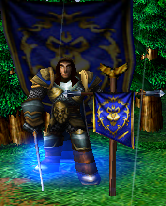 Commander Istan - A veteran of the War against the Lich King and born sometime during or before the First War.  His father was a general in the Stormw
