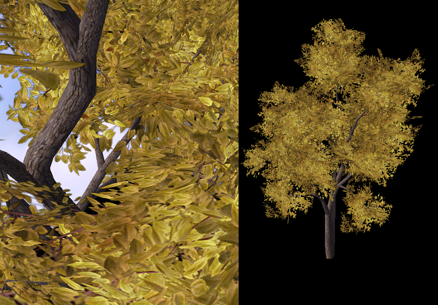 Common Yelow Tree 08