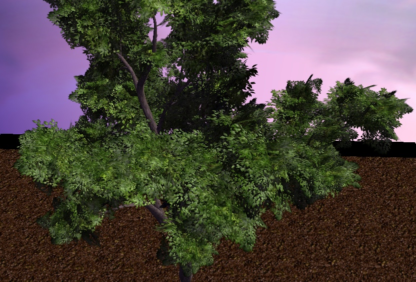 CommonGreenTree 01