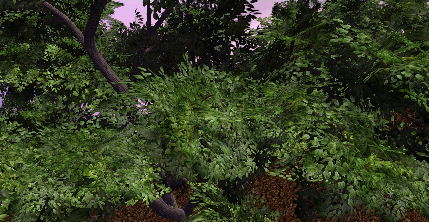 CommonGreenTree 02