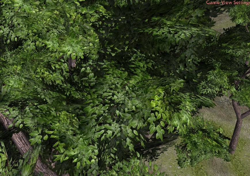 CommonGreenTree 03
