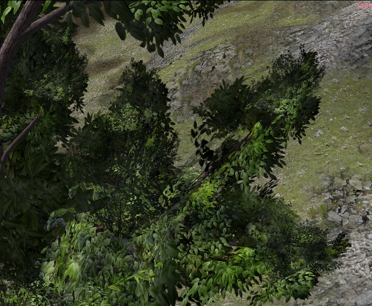 CommonGreenTree 04