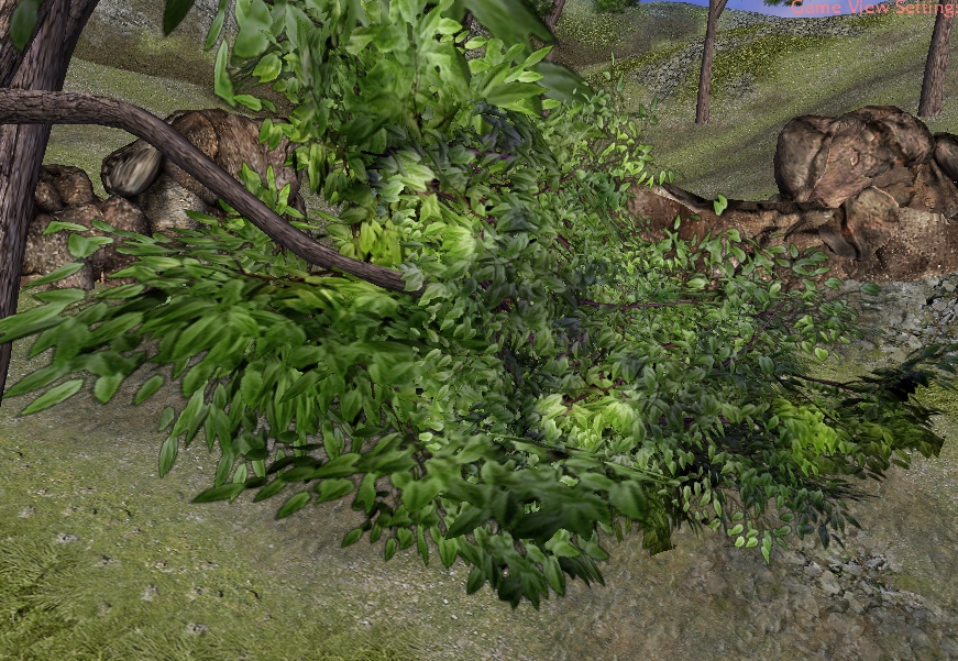 CommonGreenTree 06