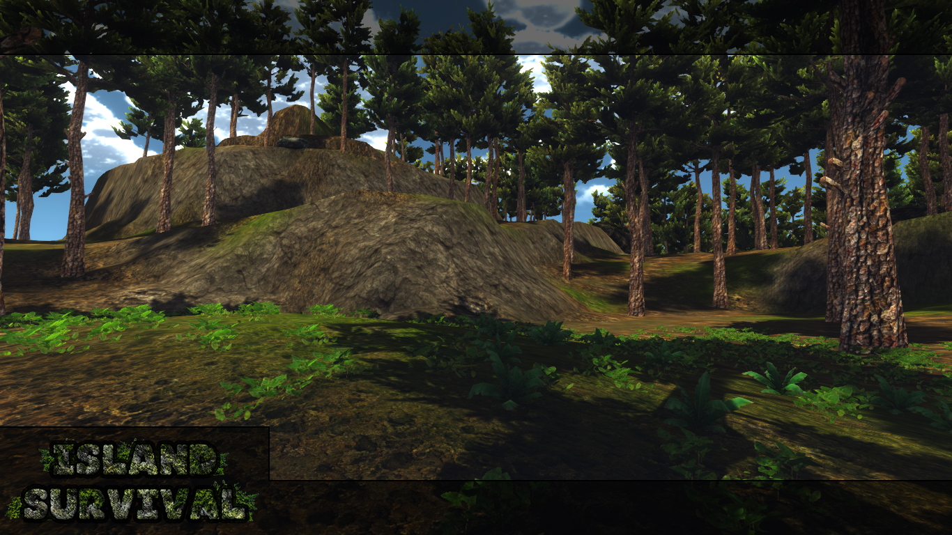 Conifer Forest