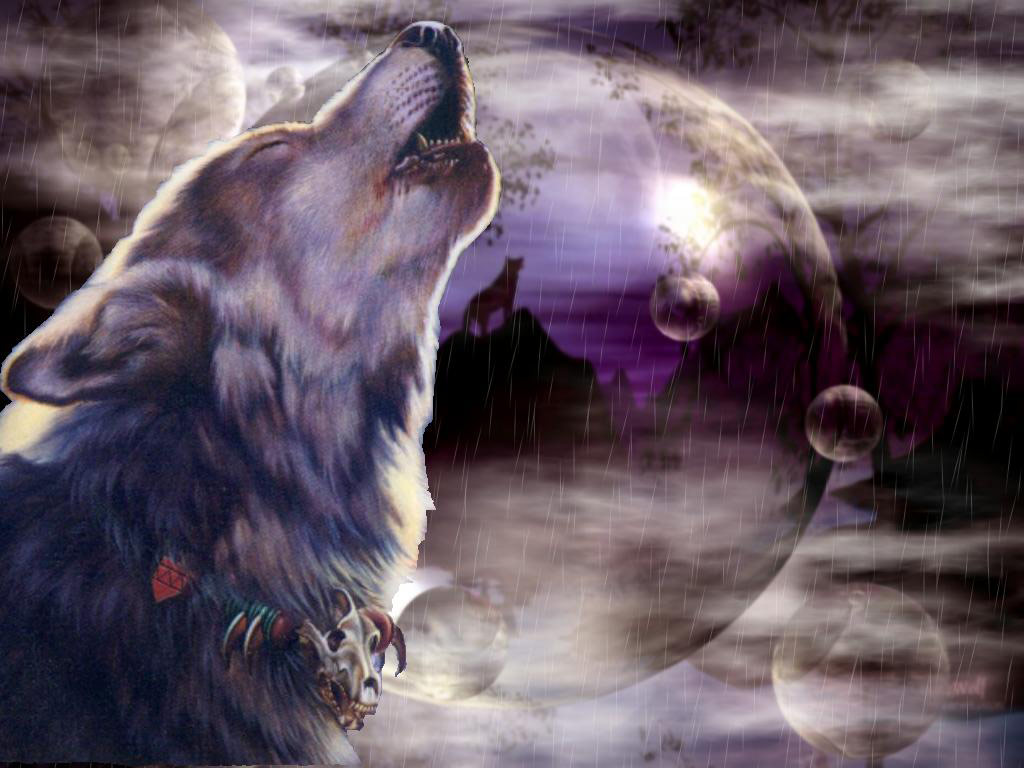 wolf wallpaper desktop