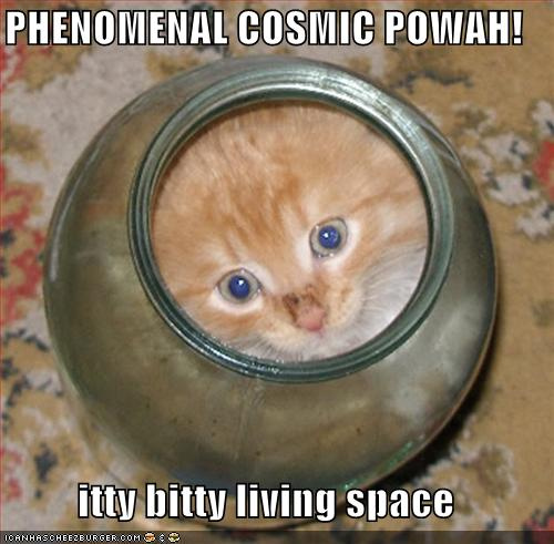 Cosmic Cat