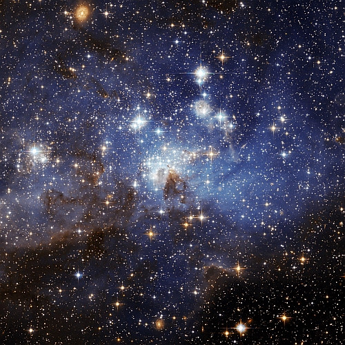 cosmos