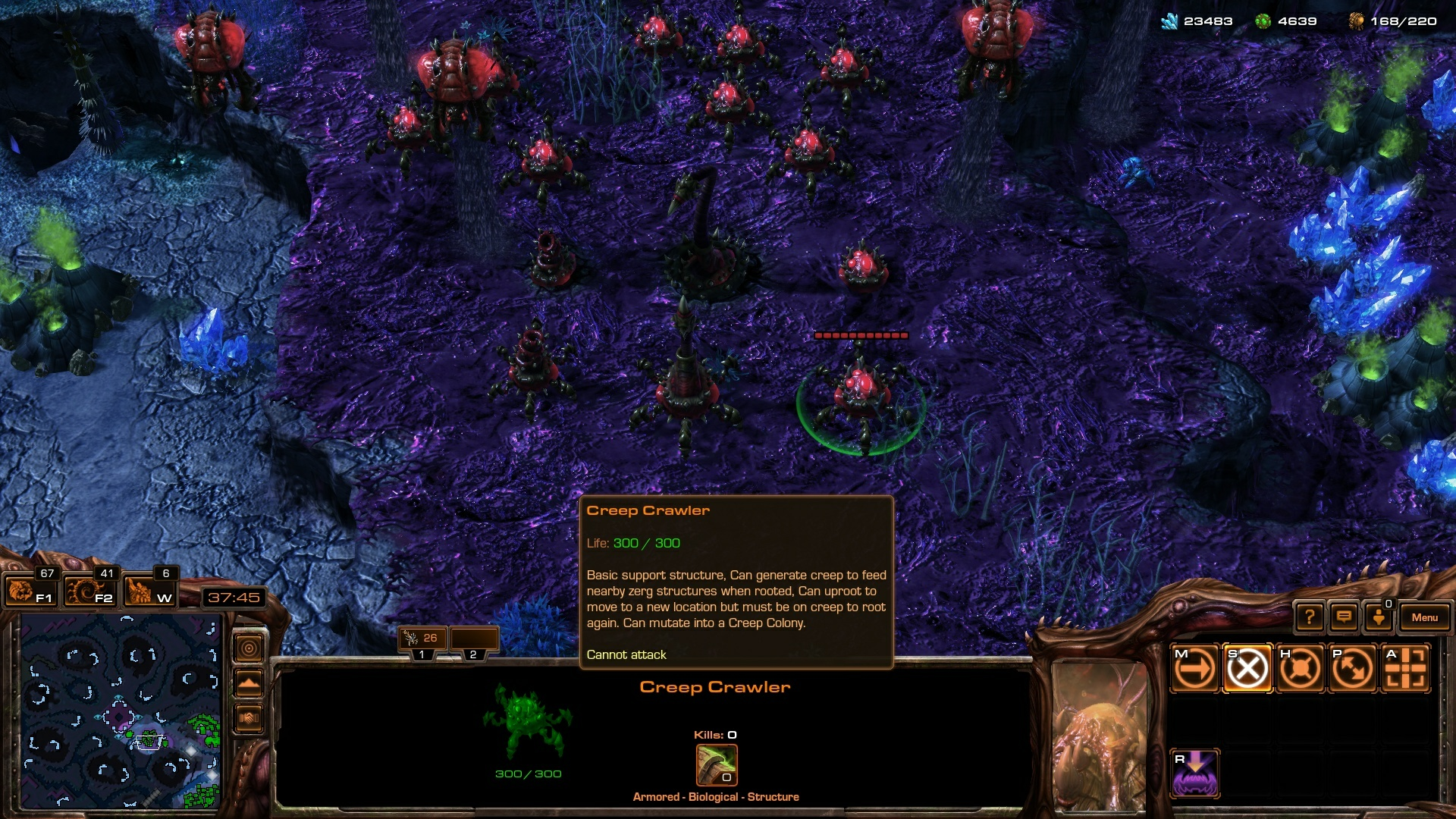 Creep Crawlers
