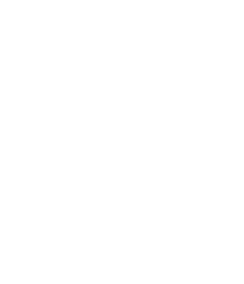 Crusader Swordsman wire 
Don't ask about release or something like that, this is not for Wc3!!!