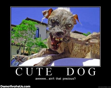 cute dog demotivational poster