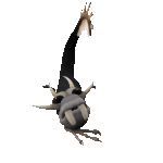 Cute gargoyle surprised