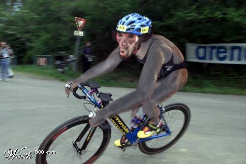 cyclemonkeyka2